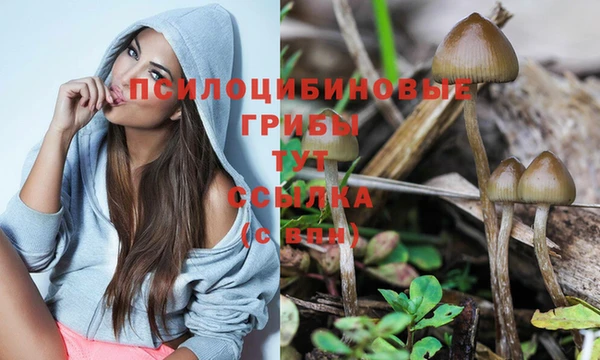круглые Арсеньев